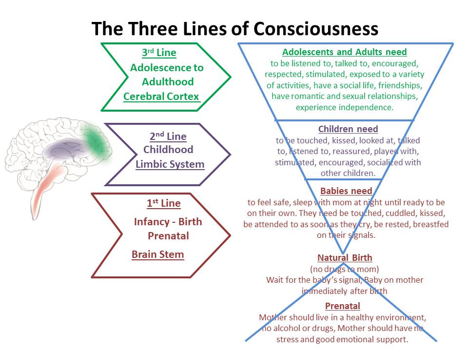 Doctor A. Janov_The Three Lines of Conciousness